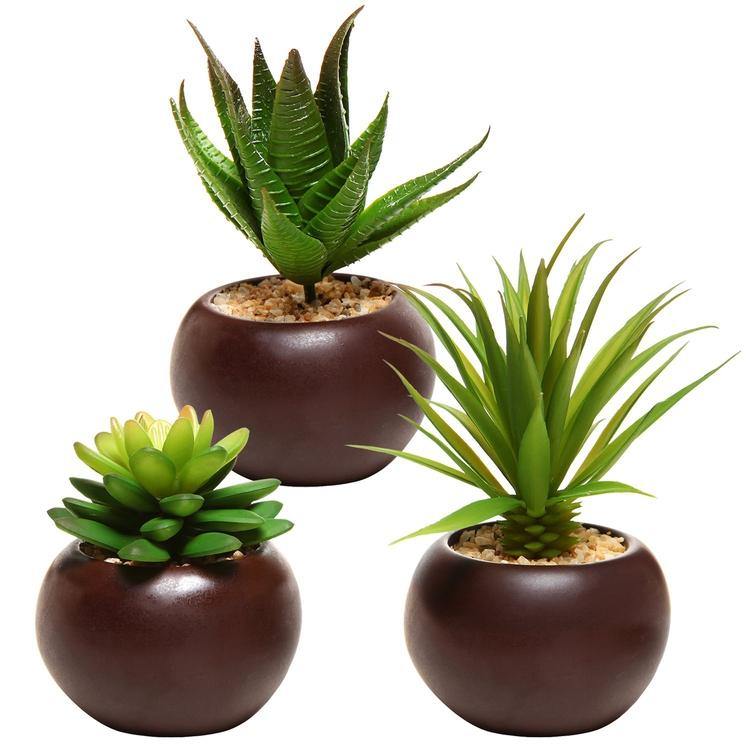 Artificial Mini Succulent Plants in Brown Planter, Set of 3