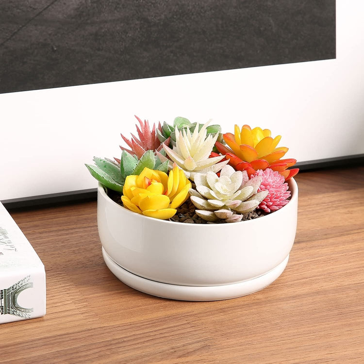 6 Inch White Ceramic Round Succulent Planter Indoor Flower Pot Bowl with Drainage Hole and Removable Drip Tray Saucer