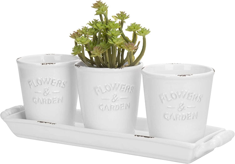 Farmhouse Style White Ceramic Mini Succulent Pots with Display Tray, 4-Piece Set