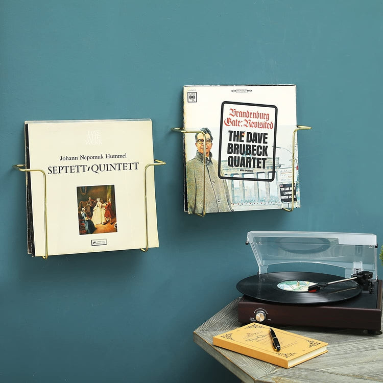 wall mounting vinyl record display holder