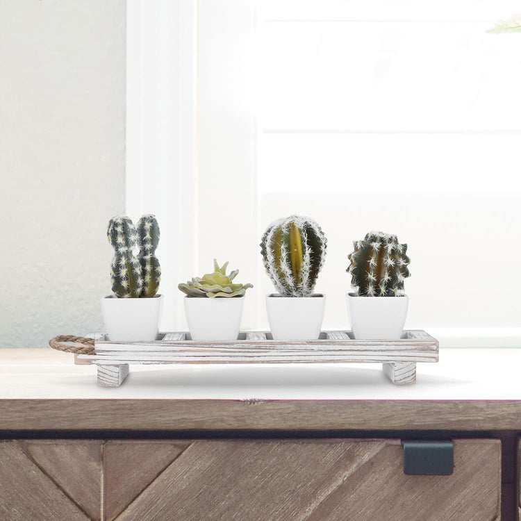 Assorted Mini Artificial Cactus and Fake Potted Succulent Plants in White Plant Pots with Whitewashed Wood Tray