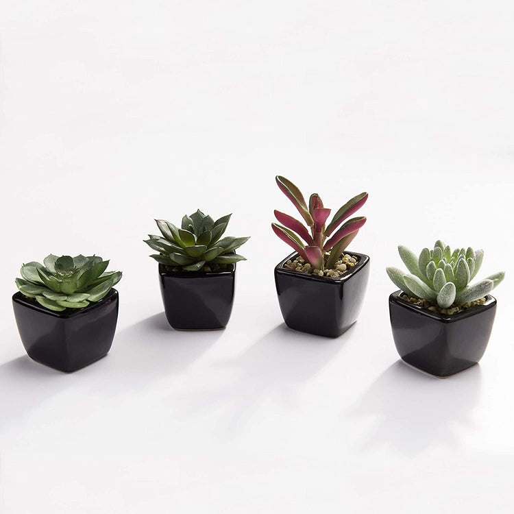 4 Pack Mini Assorted Artificial Succulent Plants in Black Ceramic Pots