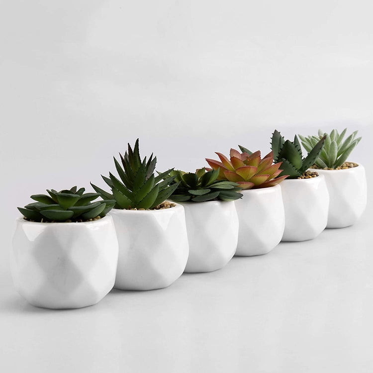 Set of 6 Mini Faux Succulent Plants in White Geometric Ceramic Pots-MyGift