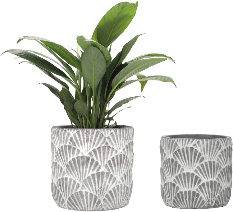 Seashell Pattern Concrete White and Gray Embossed Succulent Planter Indoor Flower Pots, Small and Large Set-MyGift