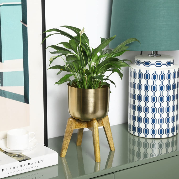 Small Plant Pot, Decorative Brushed Brass Metal Pot with Solid Mango Wood Planter Stand-MyGift