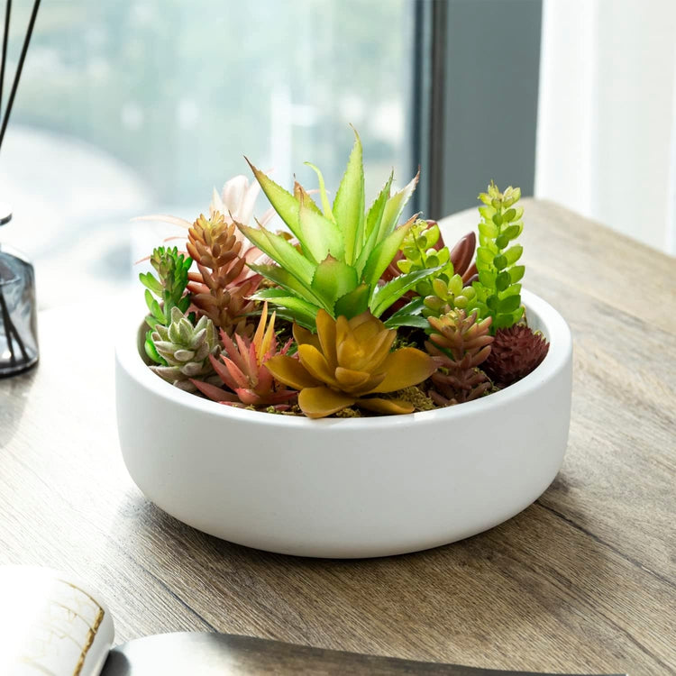 8 Inch Round White Succulent Planter with Drainage Hole, Indoor Cactus Shallow Planter Bowl Tabletop Centerpiece