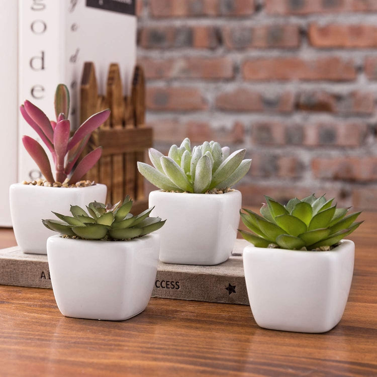 Mini Assorted Artificial Succulent Plants in White Ceramic Pots, Set of 4