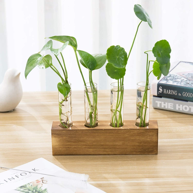 4-Glass Test Tube Water Plant Holder, Flower Vases with Brown Wood Block Base-MyGift