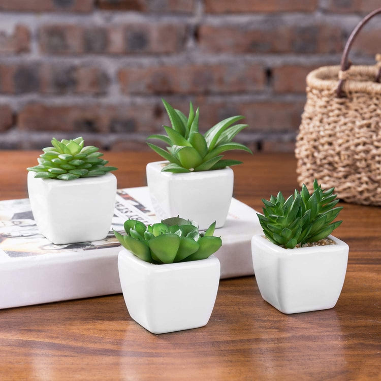 Modern White Ceramic Mini Potted Artificial Succulent Plants, Set of 4