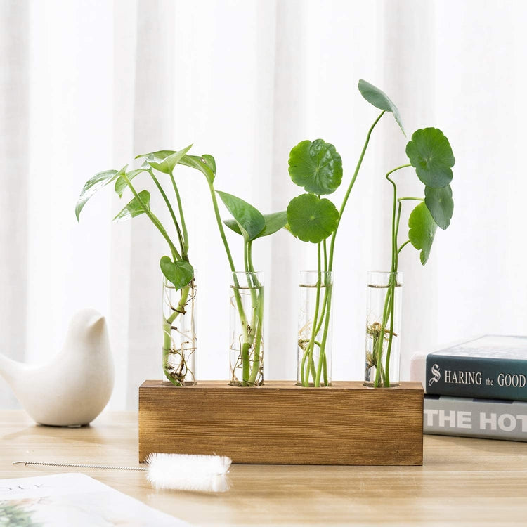 4-Glass Test Tube Water Plant Holder with Brown Wood Block Base