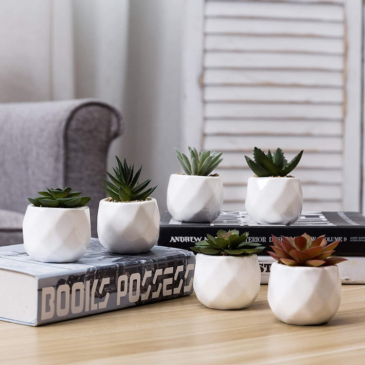 Mini Faux Succulent Plants in White Geometric Ceramic Pots, Set of 6