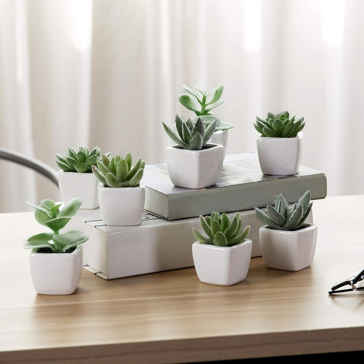 Mini Assorted Artificial Cactus Plants, Set of 4 – MyGift