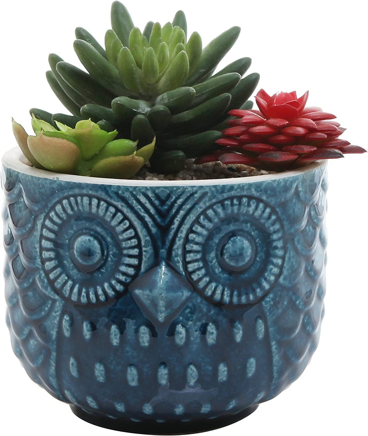 Blue Owl Shaped Succulent Ceramic Planter Pot Whimsical Cute Plant Container-MyGift