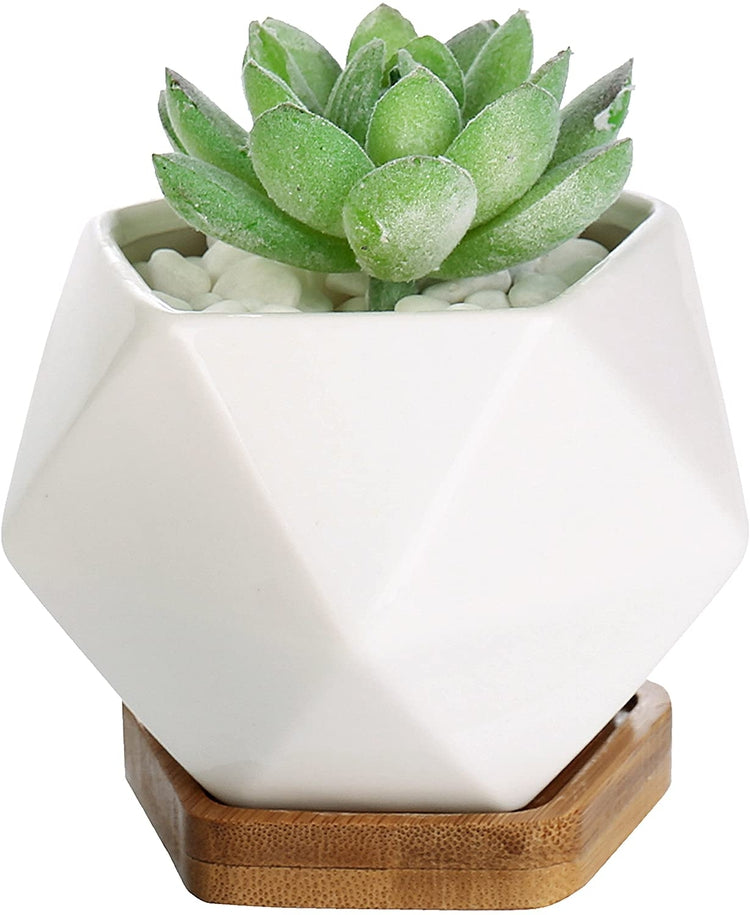 Set of 3 White Ceramic 3-Inch Geometric Mini Succulent Planters with Removable Bamboo
Trays-MyGift