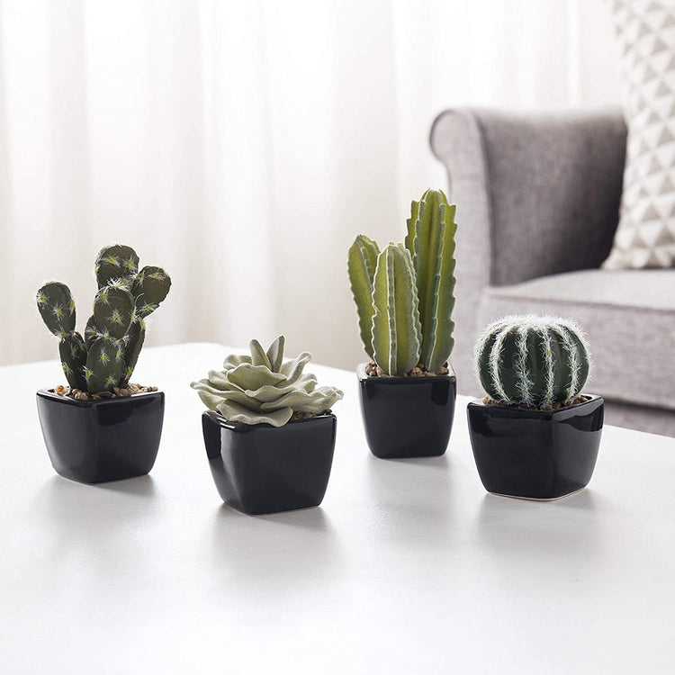 Mini Assorted Faux Plants in Black Ceramic Planters, 4 Pack