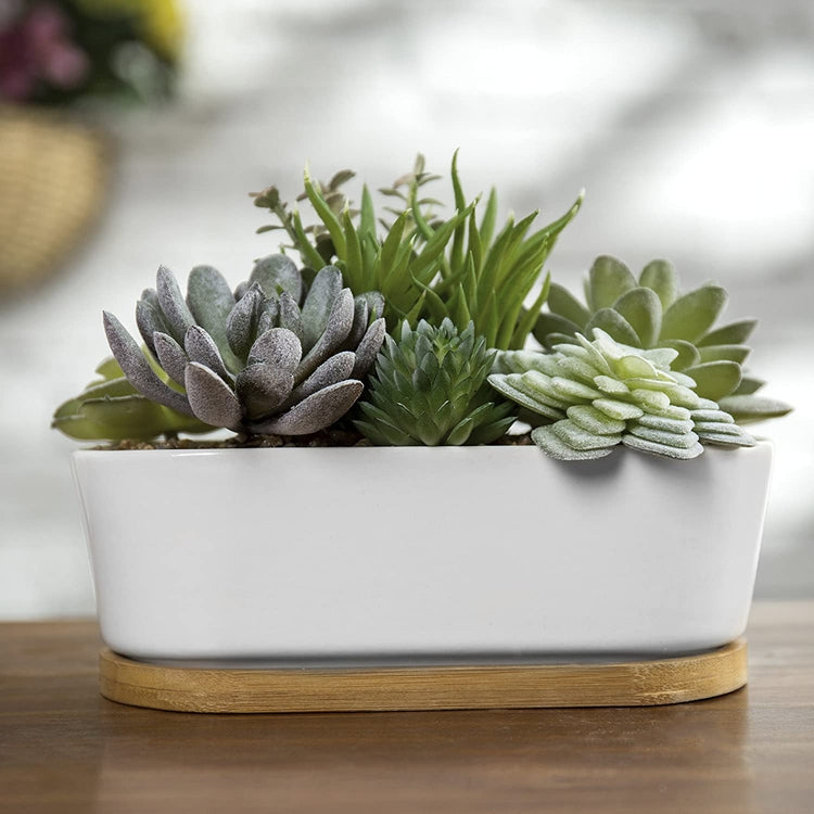 3 in. Ivorie Small White Ceramic Planter (3 in. D x 2.6 in. H)