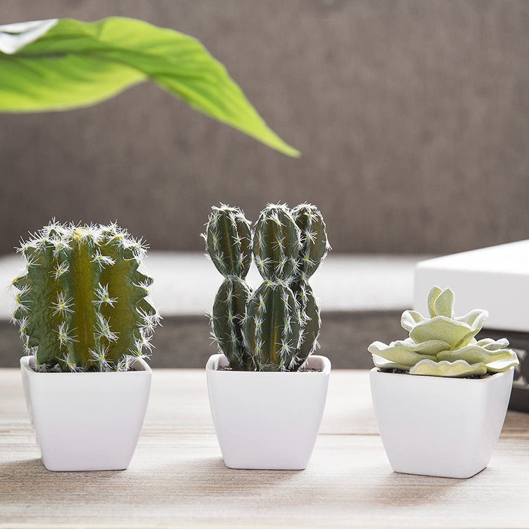 Faux Cactus in White Mini Garden Pots, Set of 3