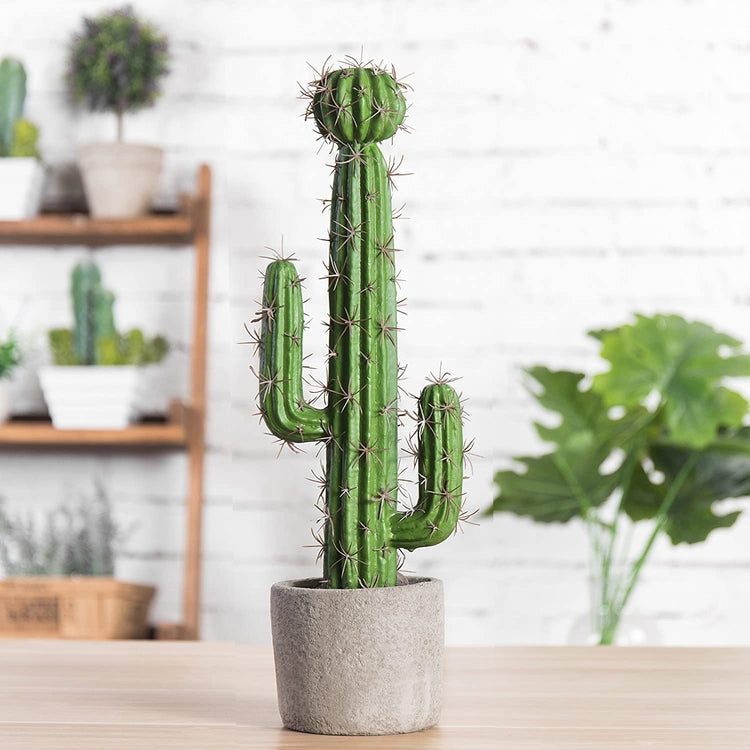 21-inch Artificial Saguaro Southwest Desert Cactus in Cement Planter Pot-MyGift