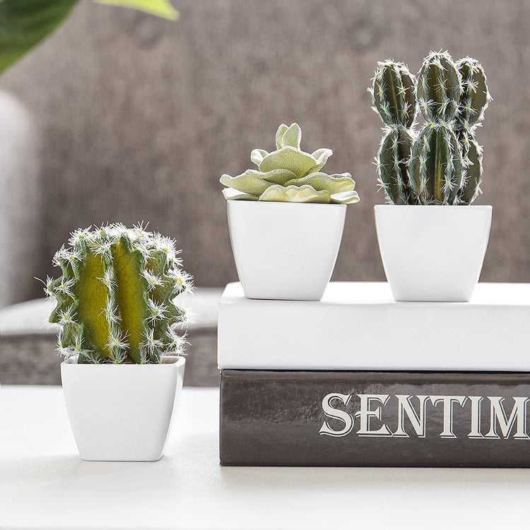 Set of 3 Artificial Faux Cactus Succulent Fake Plants in White Mini Garden Pots-MyGift