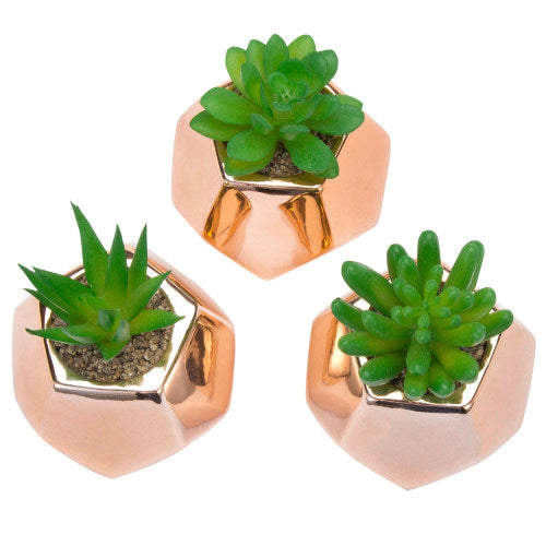 Artificial Succulents in Rose Gold-Tone Geometric Ceramic Pots, Set of 3-MyGift