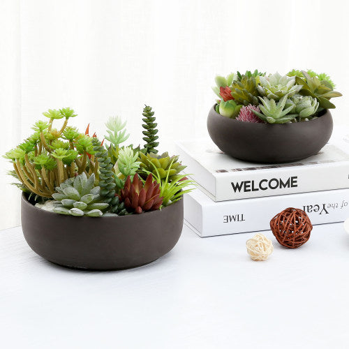 Round Zisha Purple Clay Succulent Planters w/ Matte Brown Finish, Set of 2