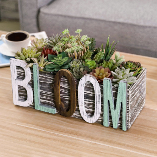 Rustic Multi-Colored Torched Wood Succulent Planter Box w/ BLOOM Cutout Letters