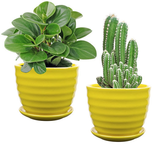 Yellow Ceramic Planter Pots, 5 Inch Size, Set of 2-MyGift