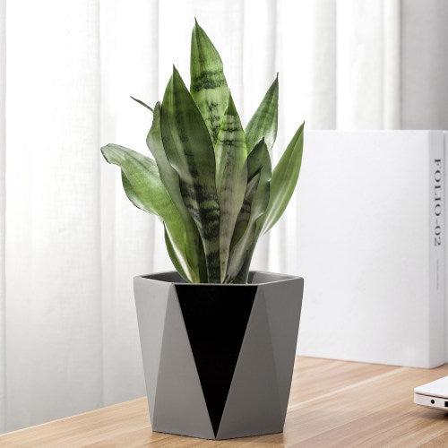 Geometric Modern Concrete Grey and Black Planter Pot, 5 Inch Size