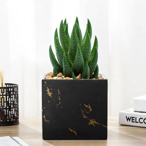 Black & Gold Marble Square Concrete Succulent Planter