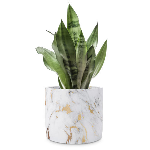 White & Copper Marble Concrete Succulent Planter Pot-MyGift