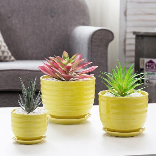 Yellow Ceramic Flower Pots, Set of 3
