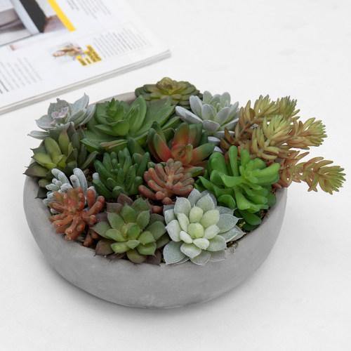 Artificial Assorted Succulent Arrangement in Round Gray Cement Planter Pot - MyGift