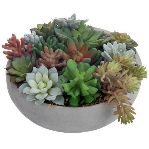 Artificial Assorted Succulent Arrangement in Round Gray Cement Planter Pot - MyGift