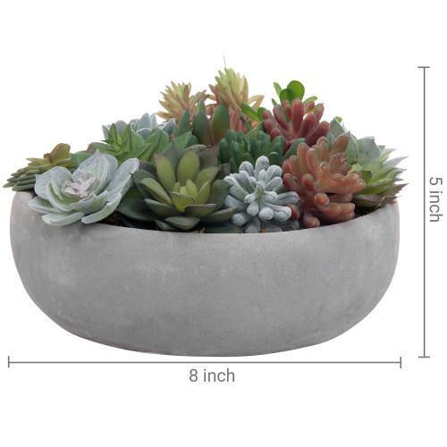 Artificial Assorted Succulent Arrangement in Round Gray Cement Planter Pot - MyGift