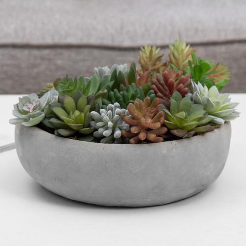 Artificial Assorted Succulent Arrangement in Round Gray Cement Planter Pot - MyGift