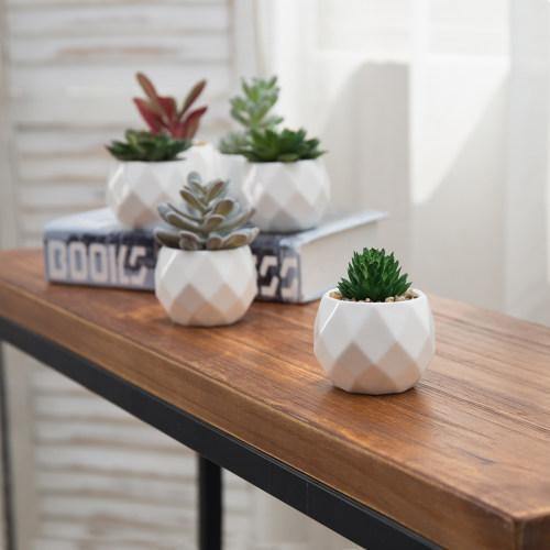 Mini Faux Succulents in Geometric Pots, Set of 6 - MyGift