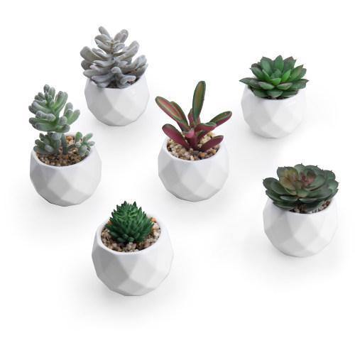 Mini Faux Succulents in Geometric Pots, Set of 6 - MyGift