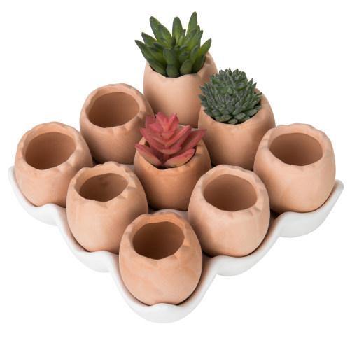 Set of 9 Brown Egg Design Ceramic Succulent Planters w/Tray - MyGift