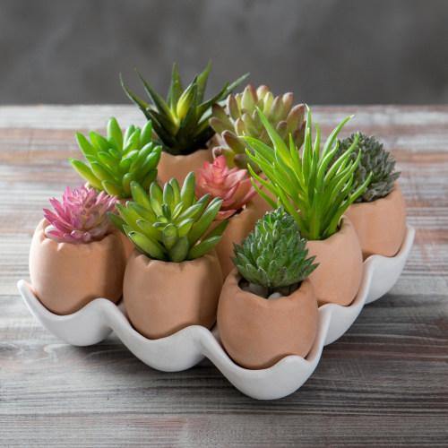 Set of 9 Brown Egg Design Ceramic Succulent Planters w/Tray