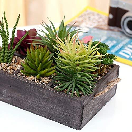 Potted Artificial Succulent Plants in Rustic Wooden 'Home' Planter Box with Rope Handles-Artifical Plants-MyGift Enterprise LLC