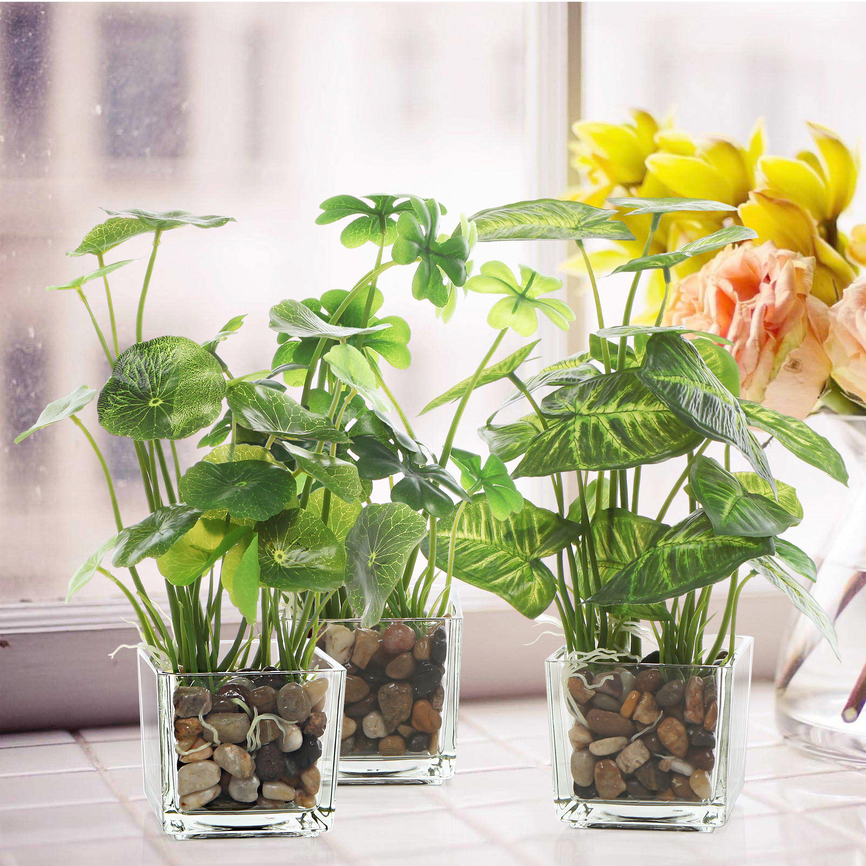 Home air purifier with houseplants