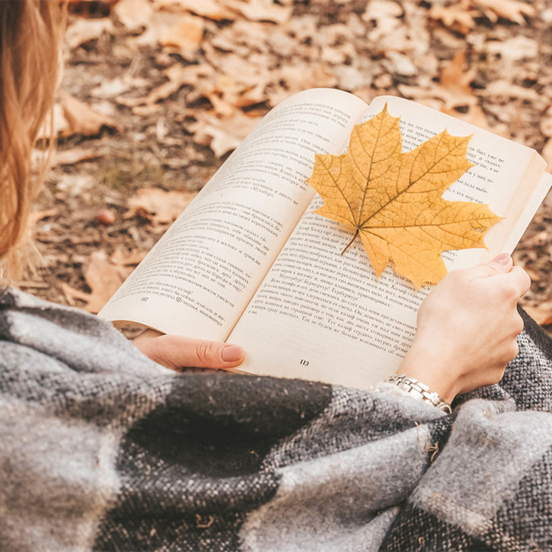 Best Books to Embrace the Cozy Season