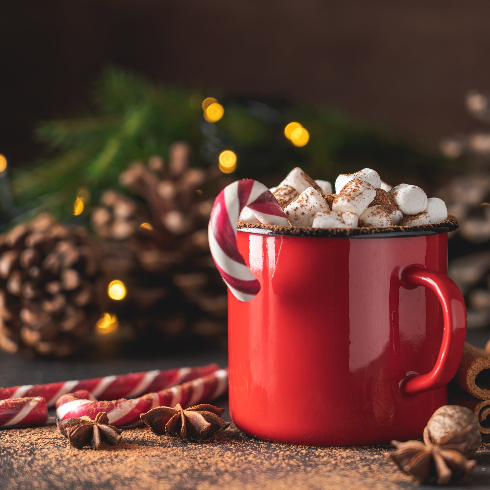 How to Create Your Own Hot Chocolate Bar