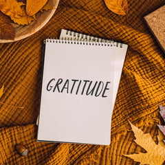 How to Start a Gratitude Journal this November