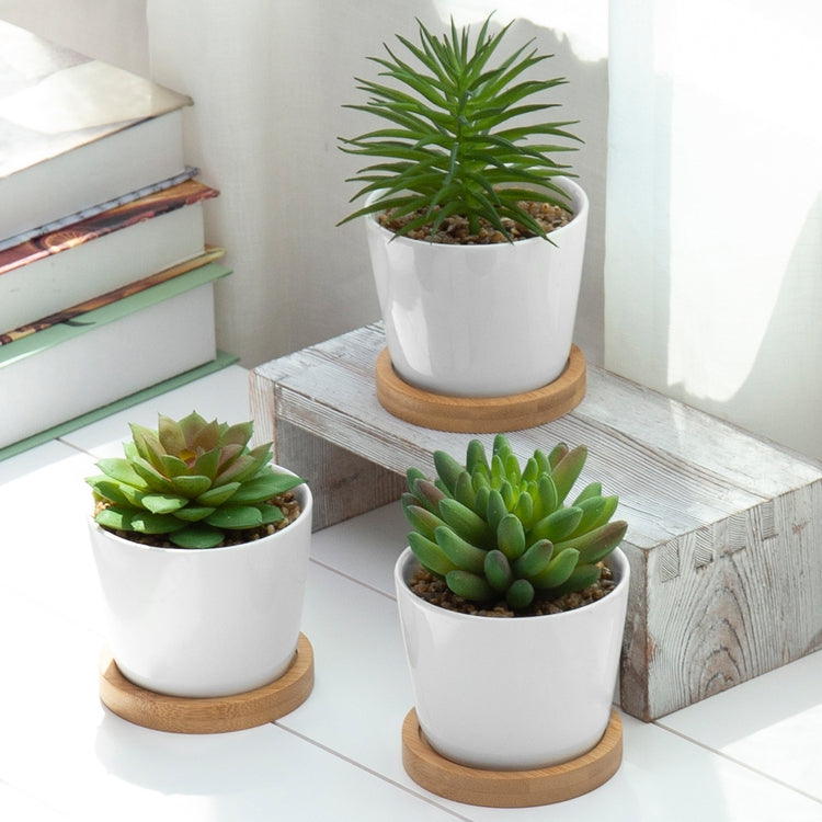 Mini Artificial Succulents in White Ceramic Pots w/ Bamboo Saucers, Set of 3-MyGift