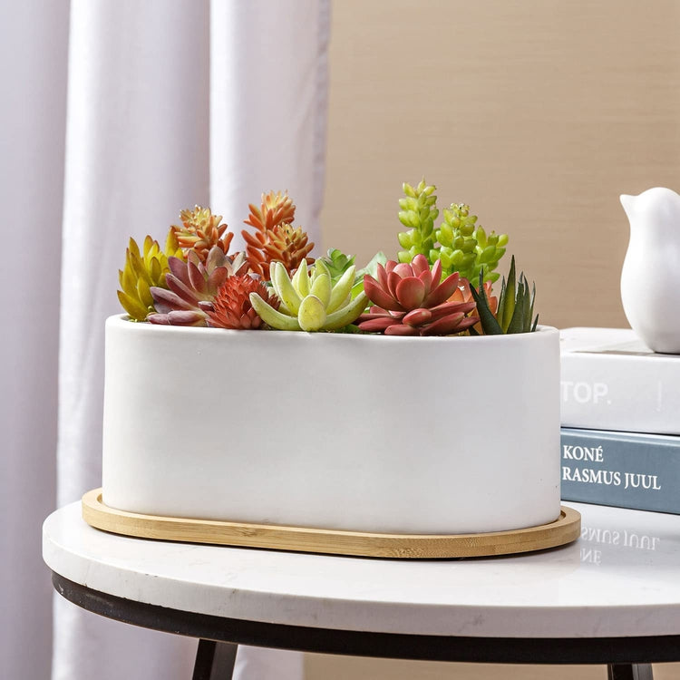 White Oval 6.8 Ceramic Succulent Planter Pot with Bamboo Saucer, Window  Plant Container Box