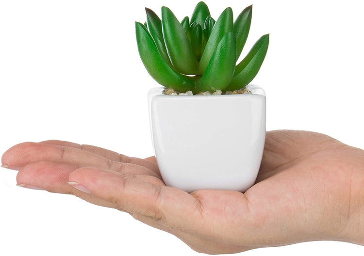 Set of 4 Mini Artificial Succulent Plants in White Ceramic Planter Pots-MyGift