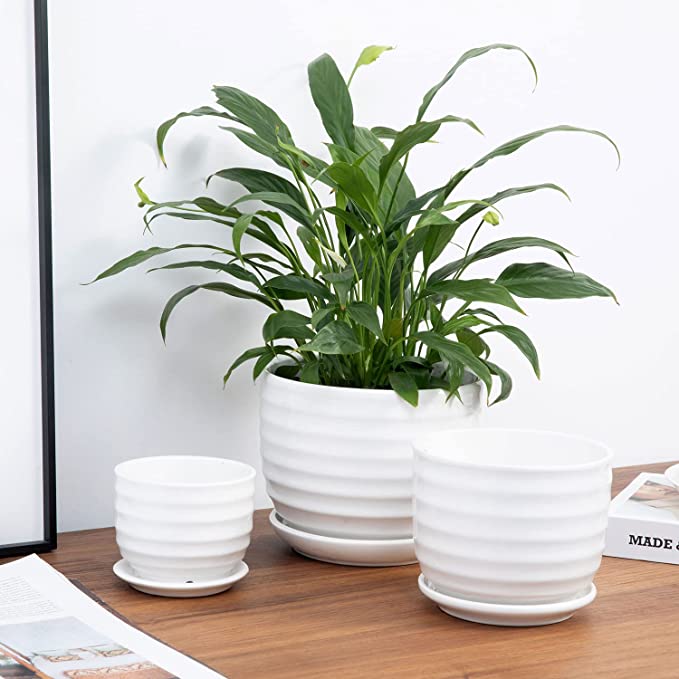 Ribbed White Ceramic Indoor Plant Pots with Attached – MyGift
