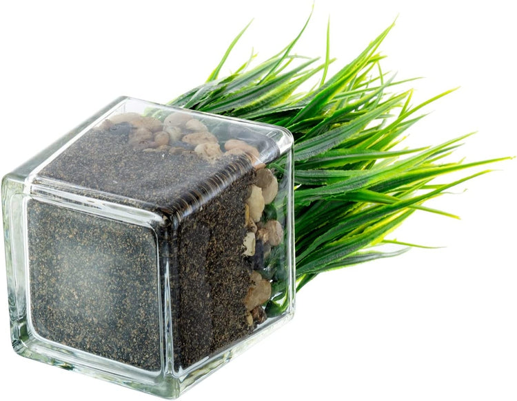 Set of 2, Artificial Grass Plants in Square Clear Glass Pots with Faux Pebbles and Soil, Potted Greenery-MyGift