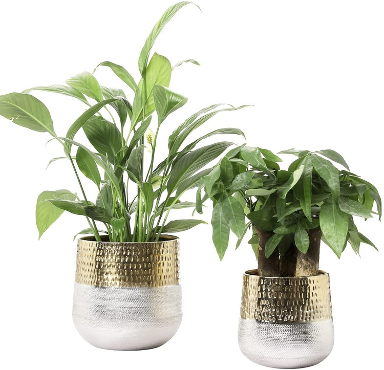 Set of 2, Round Indoor Planter Pot, Hammered Brass and Milled Embossed Silver Tone Metal Planter Vase-MyGift